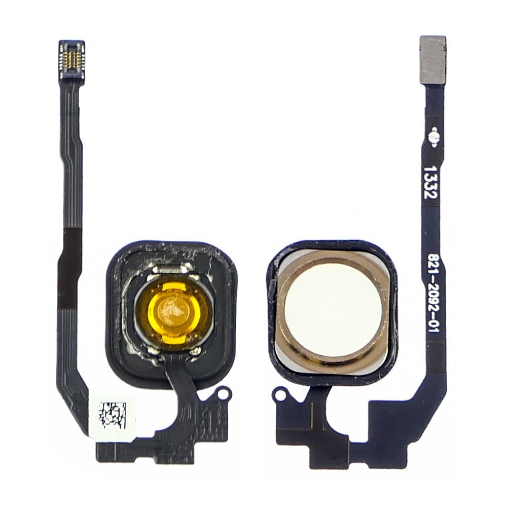 Шлейф для Apple iPhone 5s на кнопку HOME с белой кнопкой и золотистым ...